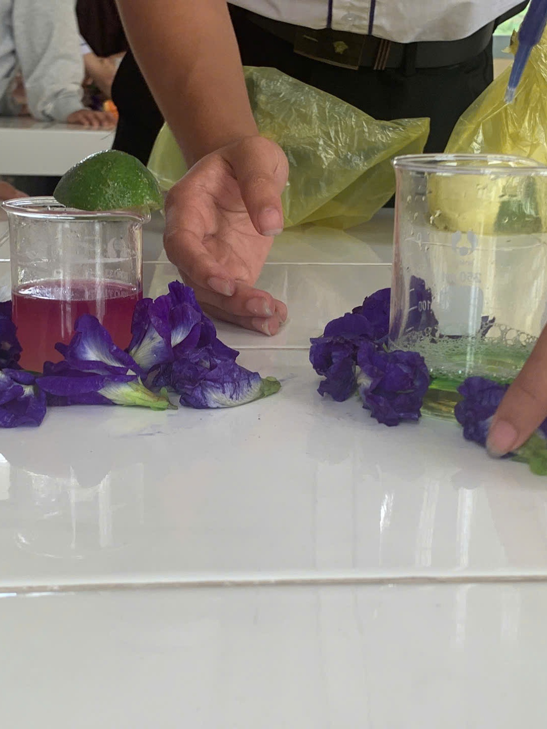 Cốc đối chứng trung tính