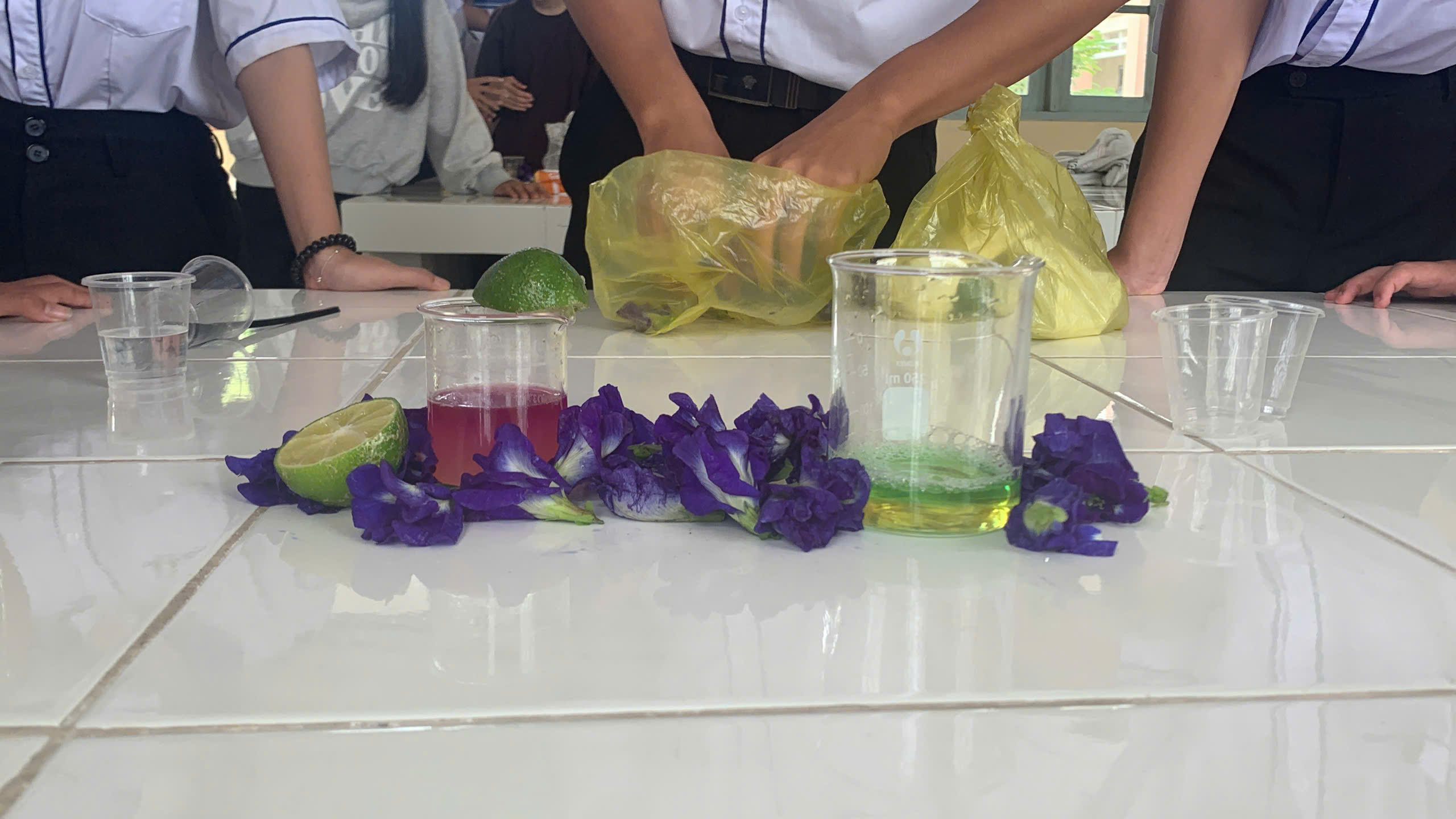 Bộ ba cốc màu hoàn chỉnh